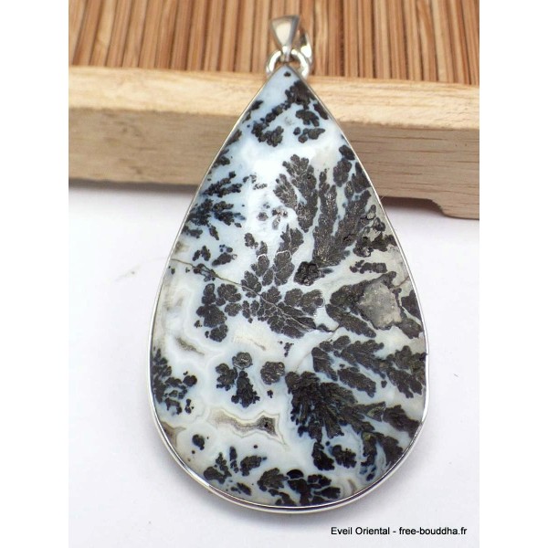 Pendentif Agate Medicine Bow (Wyoming) Pendentifs pierres naturelles CWA24