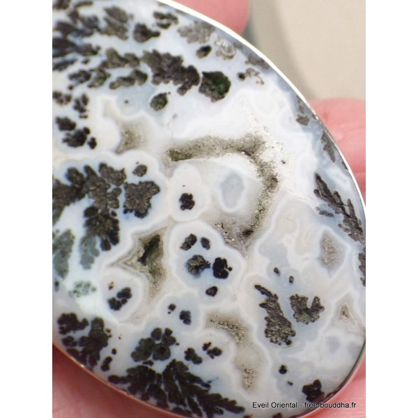 Gros Pendentif oval Agate Medicine Bow (Wyoming) Pendentifs pierres naturelles CWA24.1