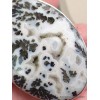 Gros Pendentif oval Agate Medicine Bow (Wyoming) Pendentifs pierres naturelles CWA24.1
