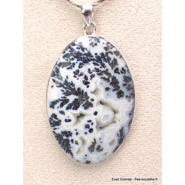 Gros Pendentif oval Agate Medicine Bow (Wyoming) Pendentifs pierres naturelles CWA24.1