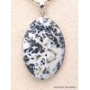 Gros Pendentif oval Agate Medicine Bow (Wyoming) Pendentifs pierres naturelles CWA24.1