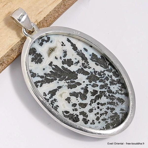 Pendentif oval Agate Medicine Bow (Wyoming) Pendentifs pierres naturelles CWA24.2