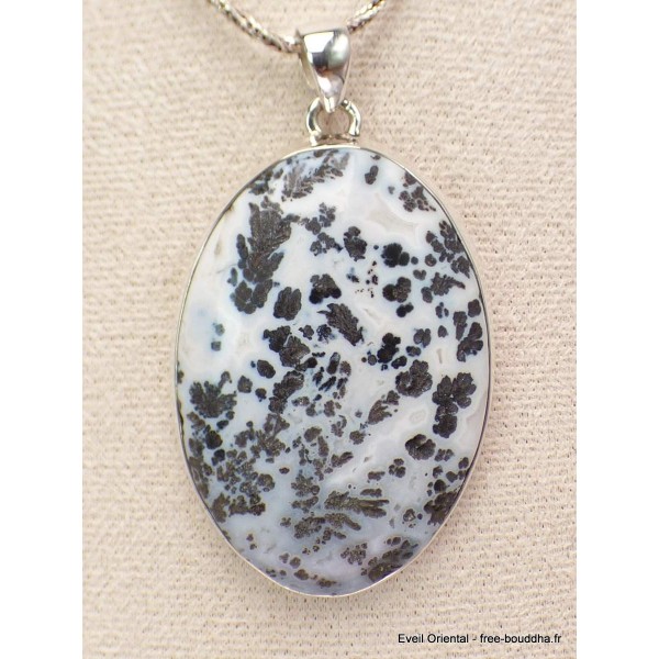 Pendentif oval Agate Medicine Bow (Wyoming) Pendentifs pierres naturelles CWA24.2
