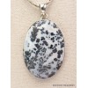 Pendentif oval Agate Medicine Bow (Wyoming) Pendentifs pierres naturelles CWA24.2