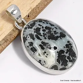 Pendentif argent Agate Medicine Bow (Wyoming) - Bijoux en Agate
