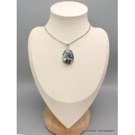 Pendentif argent Agate Medicine Bow (Wyoming) - Bijoux en Agate
