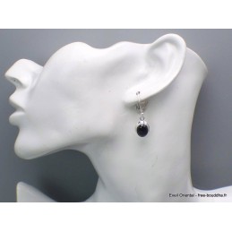 Boucles d'oreilles en Black Star Diopside ovales Bijoux en Black Star Diopside PAC46