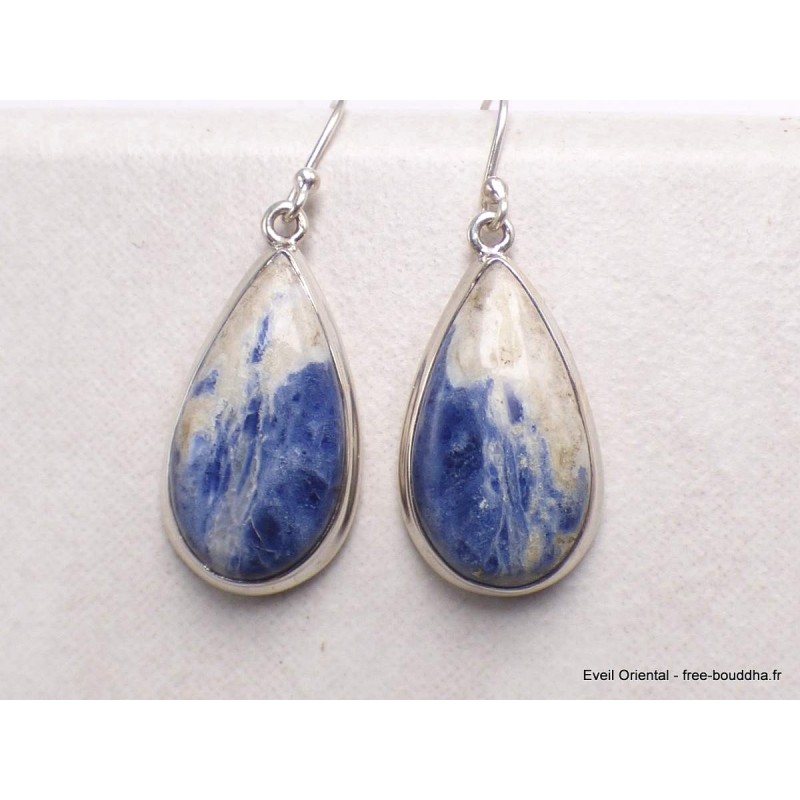 Boucles d'oreilles pendantes goutte en Sodalite Bijoux en Sodalite PAC26.3