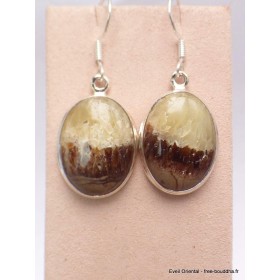 Boucles d'oreilles Septaria forme ovale Bijoux en Septarian PAC88.2