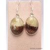 Boucles d'oreilles Septaria forme ovale Bijoux en Septaria PAC88.2