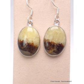 Boucles d'oreilles Septaria jaune foncé Bijoux en Septarian PAC88.3