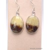 Boucles d'oreilles Septaria jaune foncé Bijoux en Septaria PAC88.3