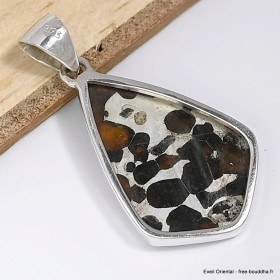 Pendentif en Pallasite (météorite) forme libre Pendentifs pierres naturelles CWA55