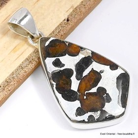 Pendentif en Pallasite (météorite) forme libre Bijoux en Pallasite CWA55