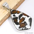 Pendentif en Pallasite (météorite) forme libre Pendentifs pierres naturelles CWA55