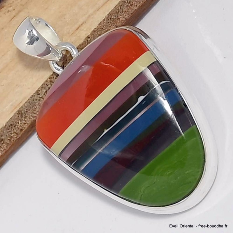 Surfite Snowboard pendentif multicolore semi-oval Bijoux en Fordite Agate de Détroit CWA56.4