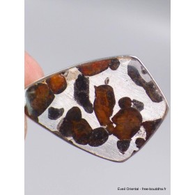 Pendentif en Pallasite (météorite) forme libre Bijoux en Pallasite CWA55