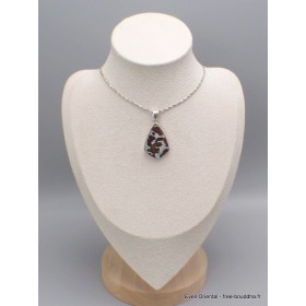 Pendentif en Pallasite (météorite) forme libre Pendentifs pierres naturelles CWA55