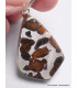 Pendentif en Pallasite (météorite) forme libre Pendentifs pierres naturelles CWA55