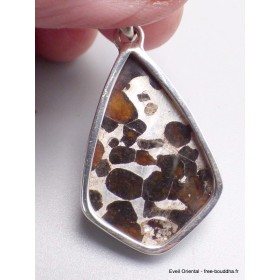 Pendentif en Pallasite (météorite) forme libre Bijoux en Pallasite CWA55