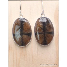 Boucles d'oreilles Chiastolite Andalousite ovales Bijoux en Chiastolite PAC25.2