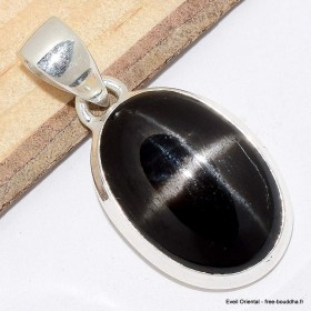 Pendentif en Black Star Diopside Obsidienne étoilée Bijoux en Black Star Diopside CWA99.2