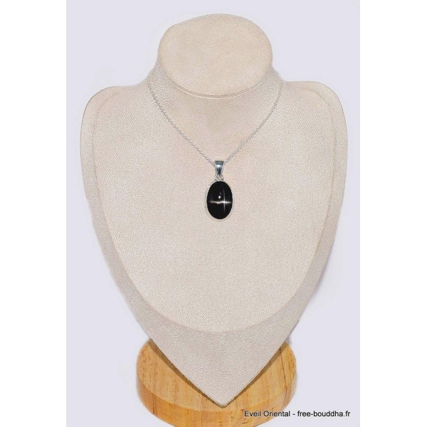 Pendentif en Black Star Diopside Obsidienne étoilée Pendentifs pierres naturelles CWA99.2