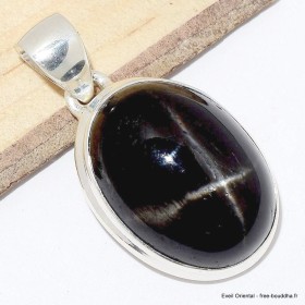 Pendentif en Black Star Diopside ou Diopside étoilée Bijoux en Black Star Diopside CWA99.3