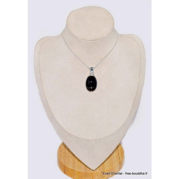 Pendentif Black Star Diopside ou Diopside étoilée Pendentifs pierres naturelles CWA99.4