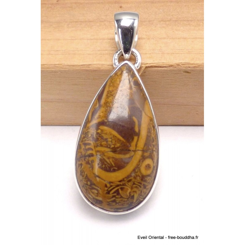 Pendentif goutte en Marium Jaspe Coquina Bijoux en Marium Jaspe Coquina CWA103.1