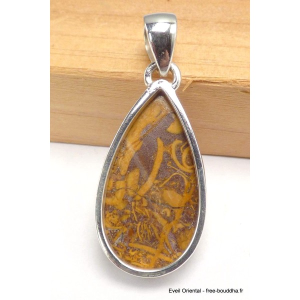 Pendentif goutte en Marium Jaspe Coquina Bijoux en Marium Jaspe Coquina CWA103.1