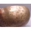Authentique bol tibétain ancien double paroi 22 cm Bols tibétains 7 métaux BOLA71