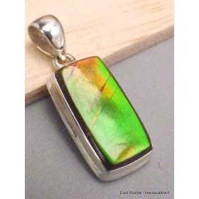 Pendentif rectangle Ammolite naturelle verte orange qualité AAA Bijoux en Ammolite CWA5.6