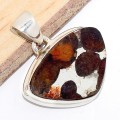 Pendentif en Pallasite (météorite) forme libre-cs Pendentifs pierres naturelles CWA55.2