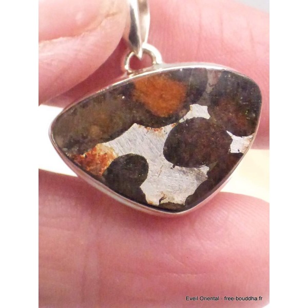 Pendentif en Pallasite (météorite) forme libre-cs Pendentifs pierres naturelles CWA55.2