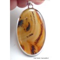 Pendentif Agate de Yellow Stone (Montana) Pendentifs pierres naturelles PU11.3