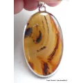 Pendentif Agate de Yellow Stone (Montana) - Bijoux en Agate