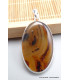 Pendentif Agate de Yellow Stone (Montana) Pendentifs pierres naturelles PU11.3