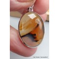 Petit Pendentif Agate de Yellow Stone (Montana) Pendentifs pierres naturelles PU11.4