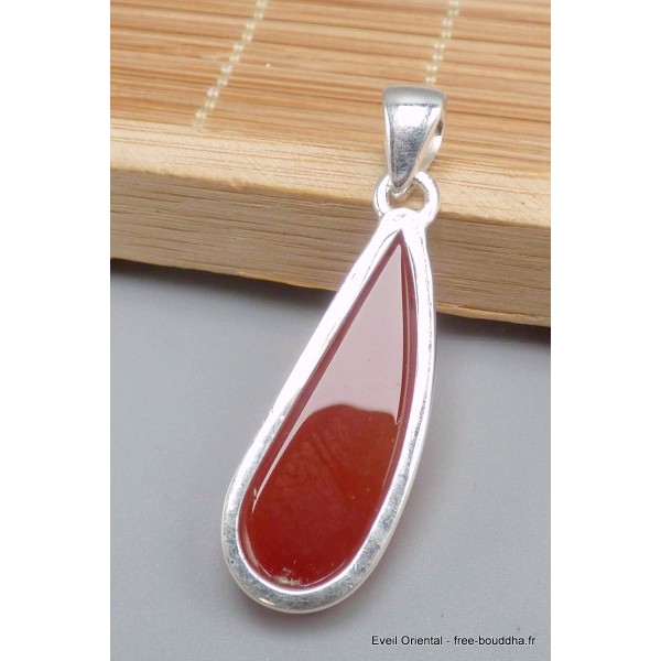 Pendentif Cornaline facettée forme libre Bijoux en Cornaline PU76.2