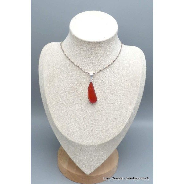 Pendentif Cornaline facettée forme libre Bijoux en Cornaline PU76.2