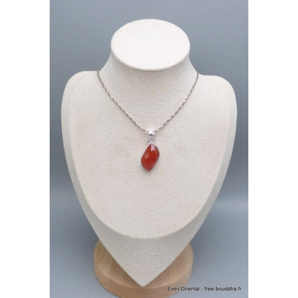 Pendentif Cornaline facettée forme libre-ci Bijoux en Cornaline PU76.4