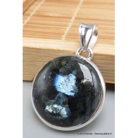 Pendentif Larvikite pierre de lune noire forme ronde Bijoux en Pierre de lune PU71.6