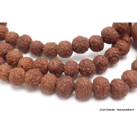Mala tibétain 108 Graines de Raktu - Mala tibétain 108 perles