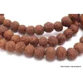 Mala tibétain 108 Graines de Raktu - Mala tibétain 108 perles