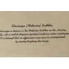 Tenture tibétaine lokta Bouddha de médecine Tentures tibétaines Bouddha SM4