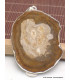 Gros pendentif en Bois Pétrifié fossilisé Pendentifs pierres naturelles AW34.4