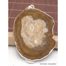 Gros pendentif en Bois Pétrifié fossilisé Bijoux en Bois pétrifié AW34.4