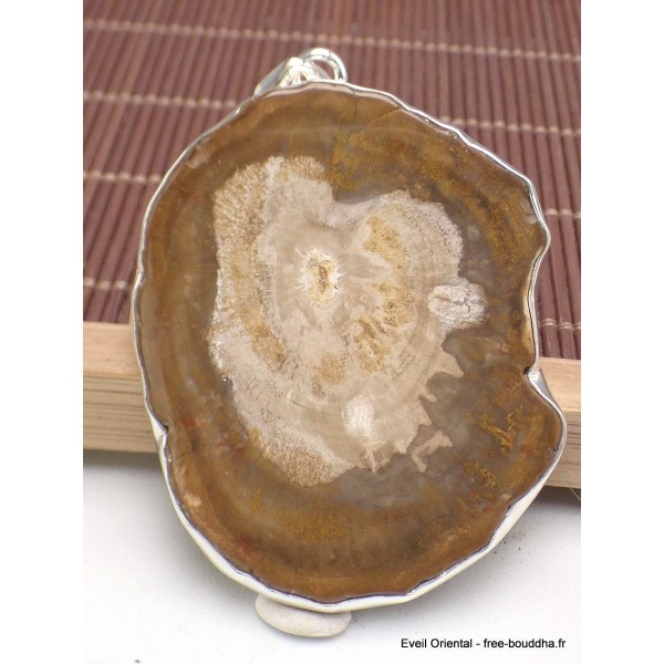 Gros pendentif en Bois Pétrifié fossilisé Pendentifs pierres naturelles AW34.4