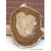 Gros pendentif en Bois Pétrifié fossilisé Pendentifs pierres naturelles AW34.4